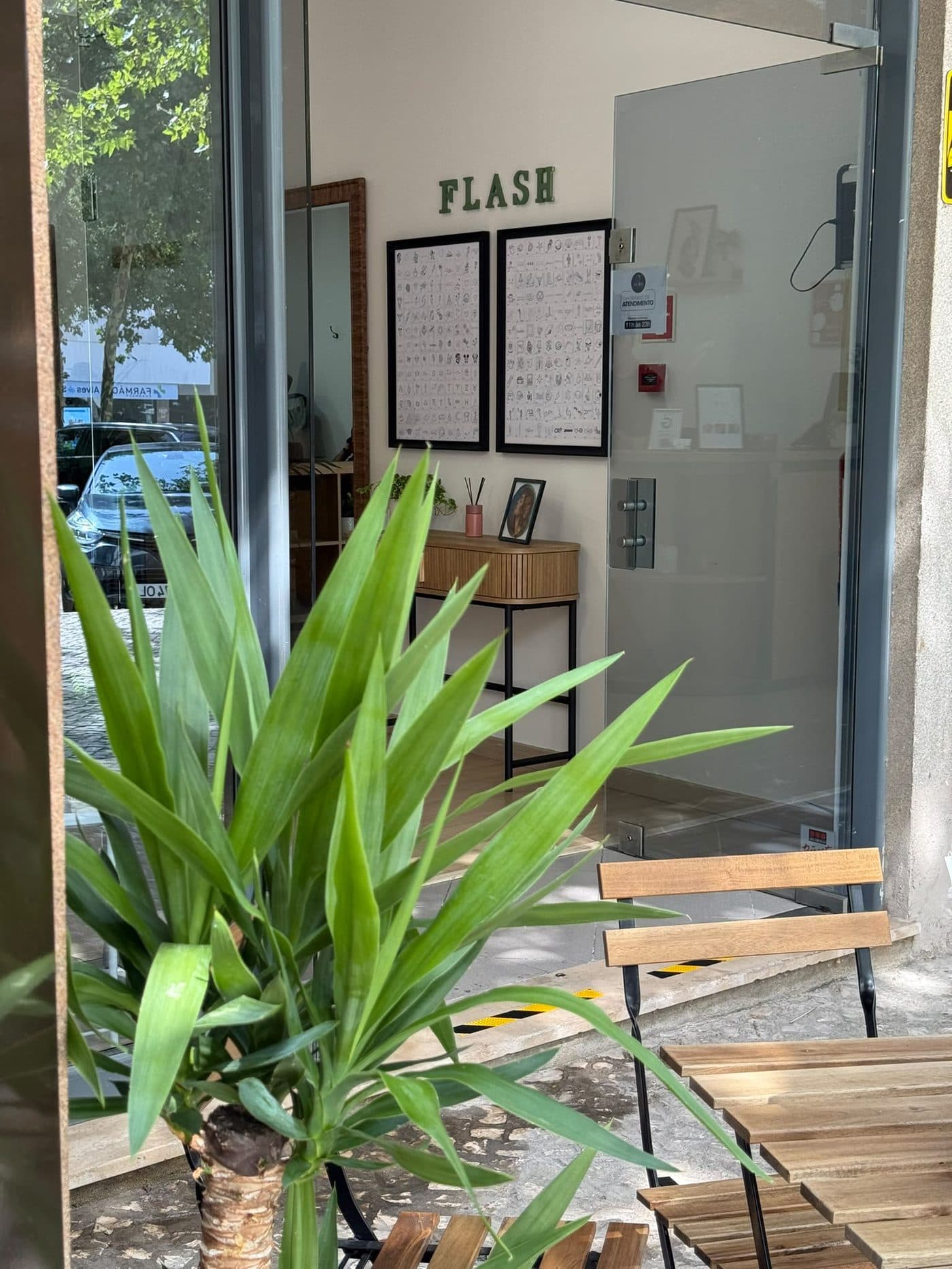 Studio corner with plants